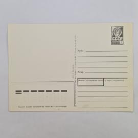 Картинка 2