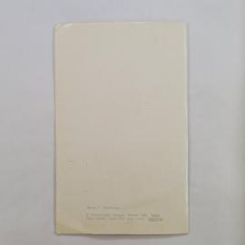 Картинка 2