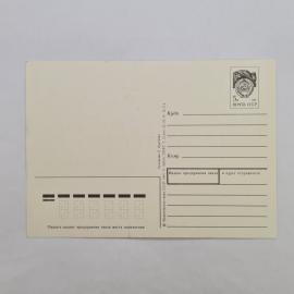 Картинка 2