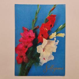 Открытка винтажная, СССР. Цветы, 1960-е годы, фото Г. Костенко