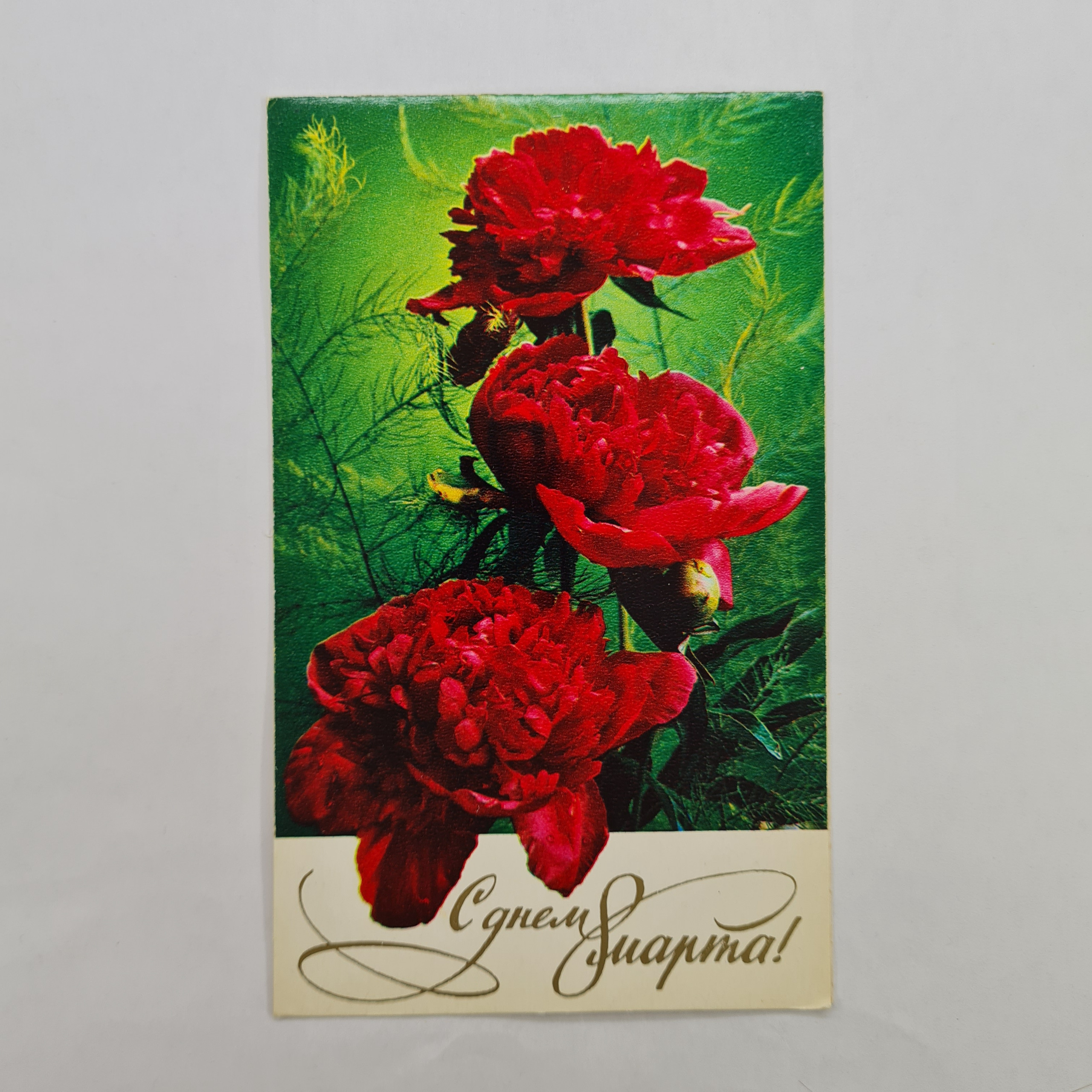 Картинка 1