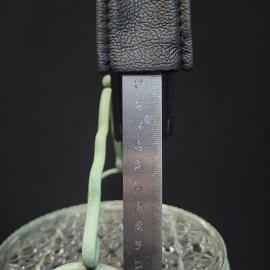 Картинка 7