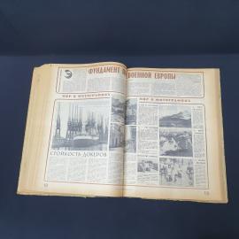Картинка 5