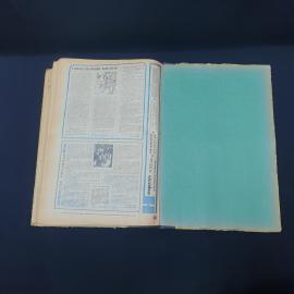 Картинка 6