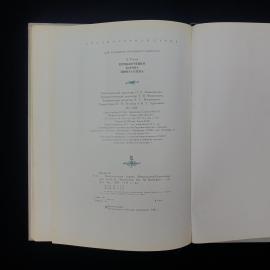 Картинка 6
