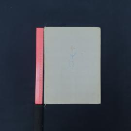 Картинка 8
