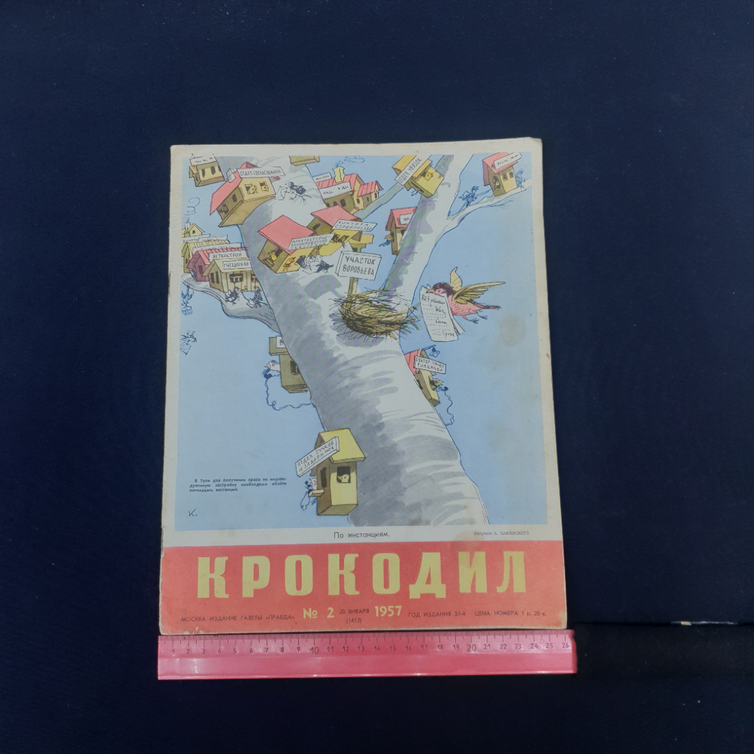 Картинка 6