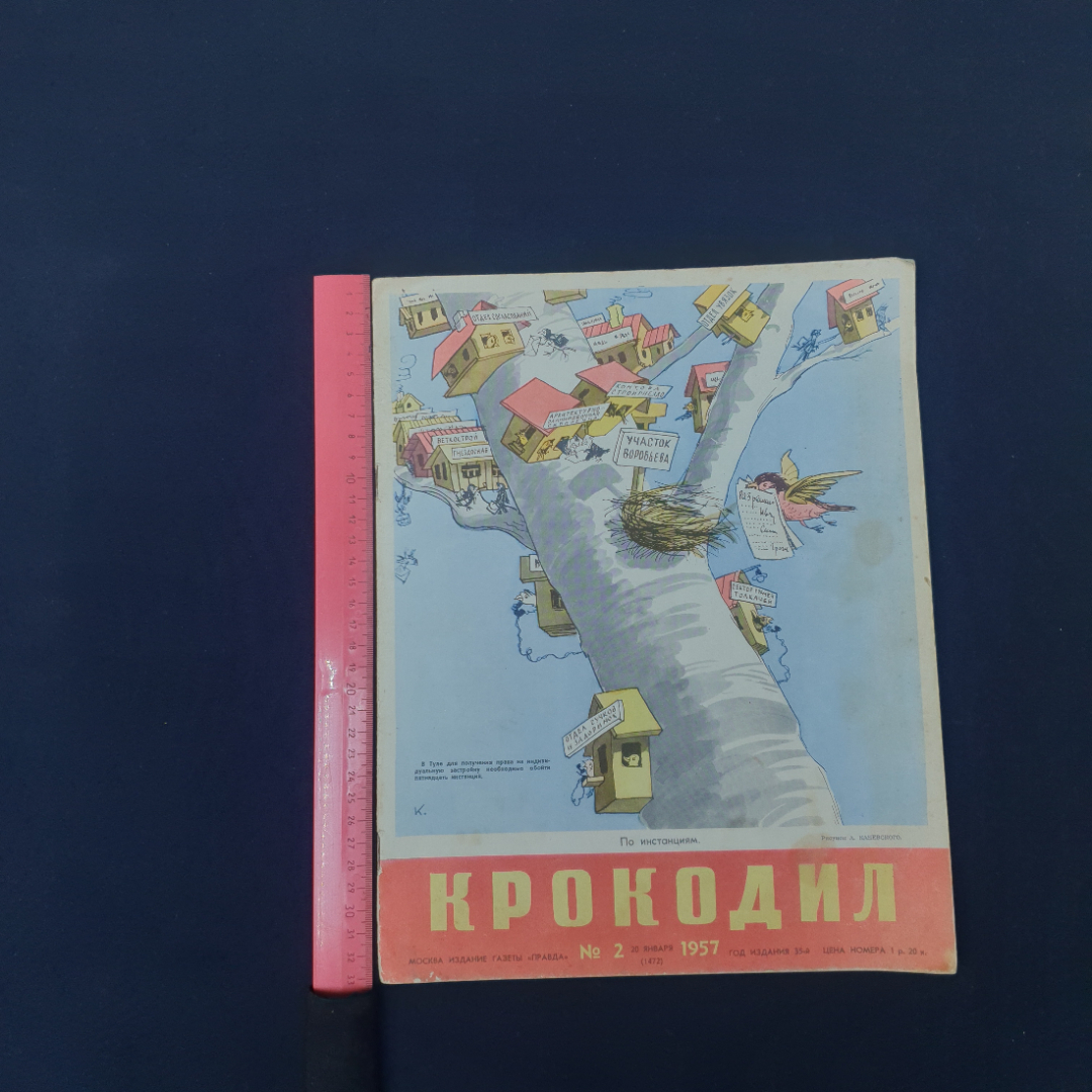 Картинка 7