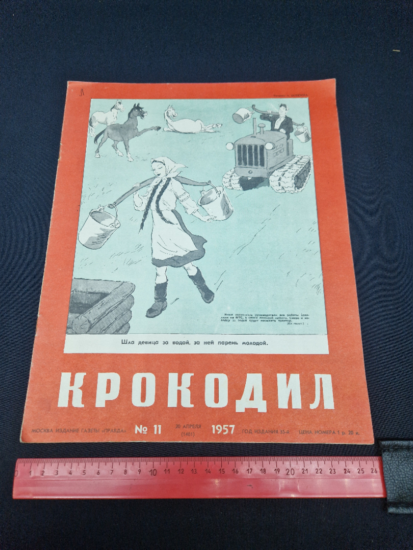 Картинка 7