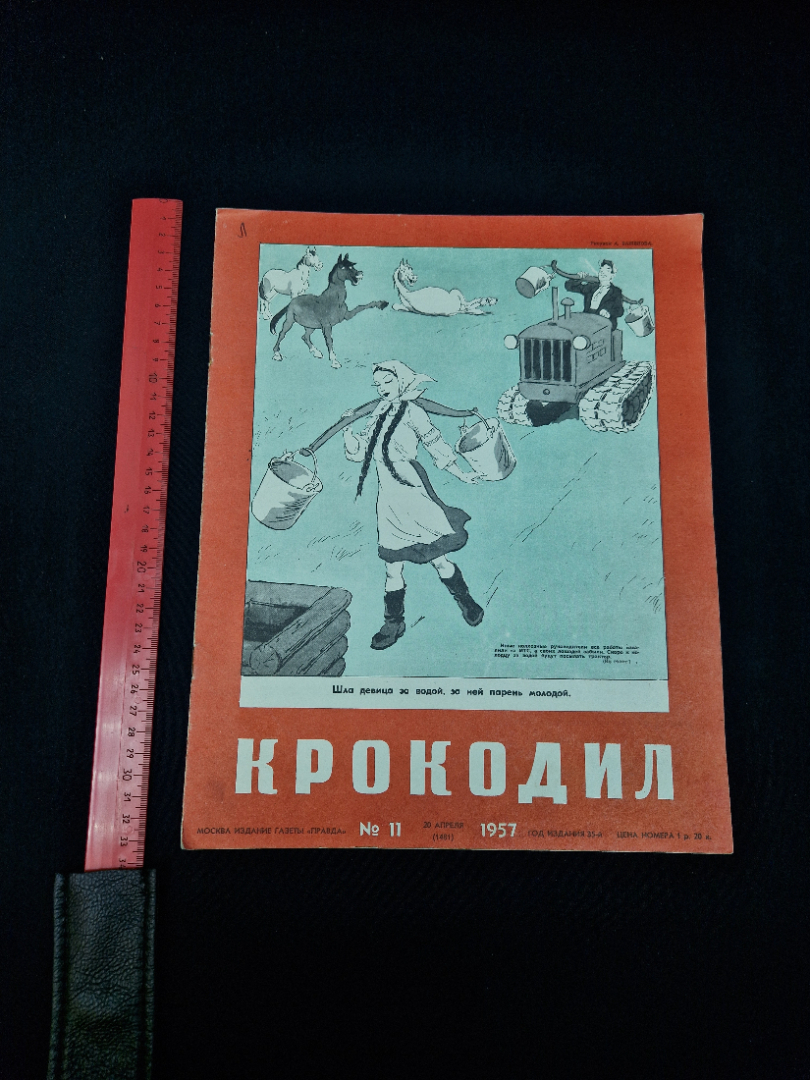 Картинка 8
