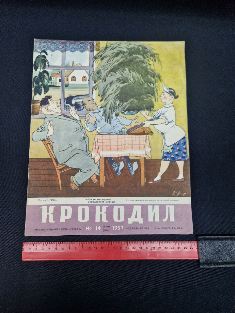 Картинка 6