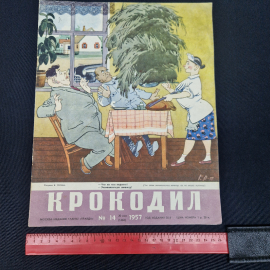 Картинка 6
