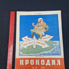 Картинка 7