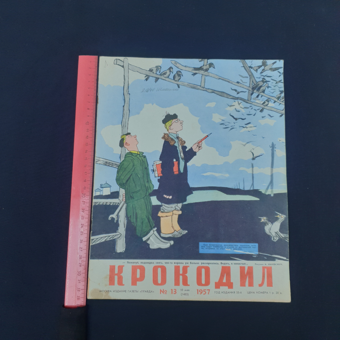 Картинка 7