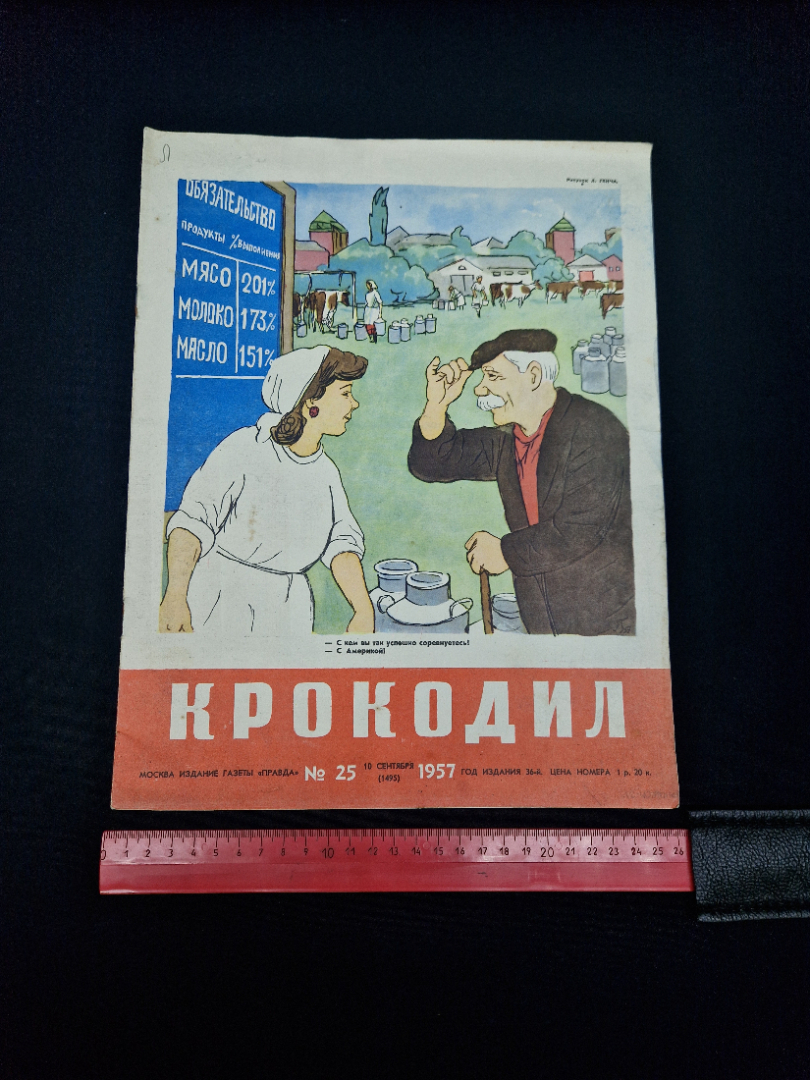 Картинка 7