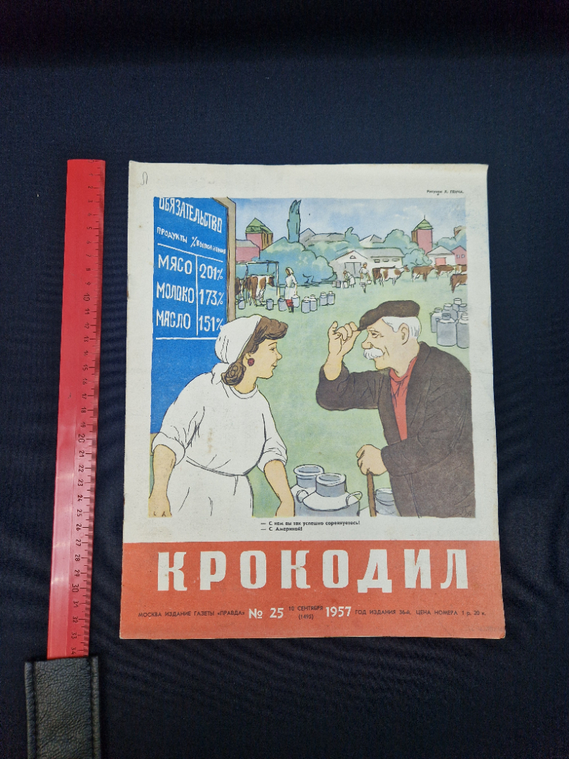 Картинка 8