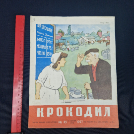 Картинка 8