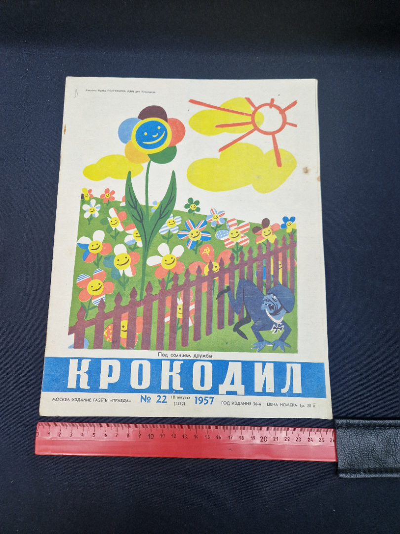 Картинка 7