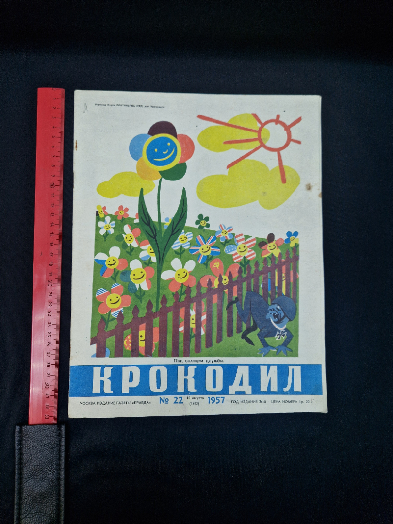 Картинка 8