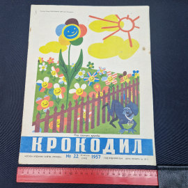 Картинка 7