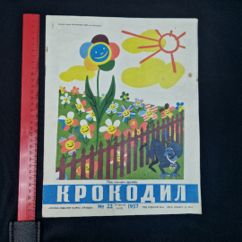 Картинка 8