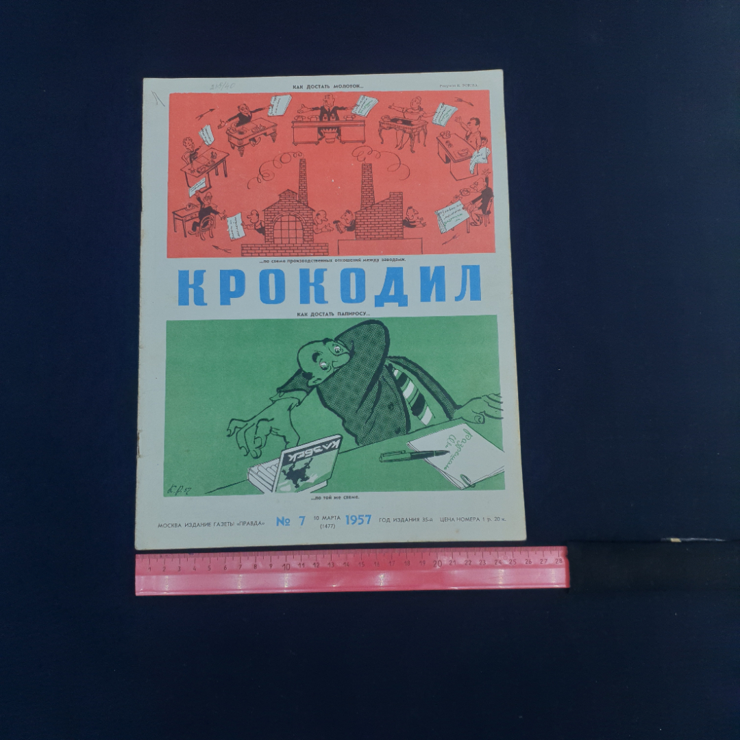 Картинка 6
