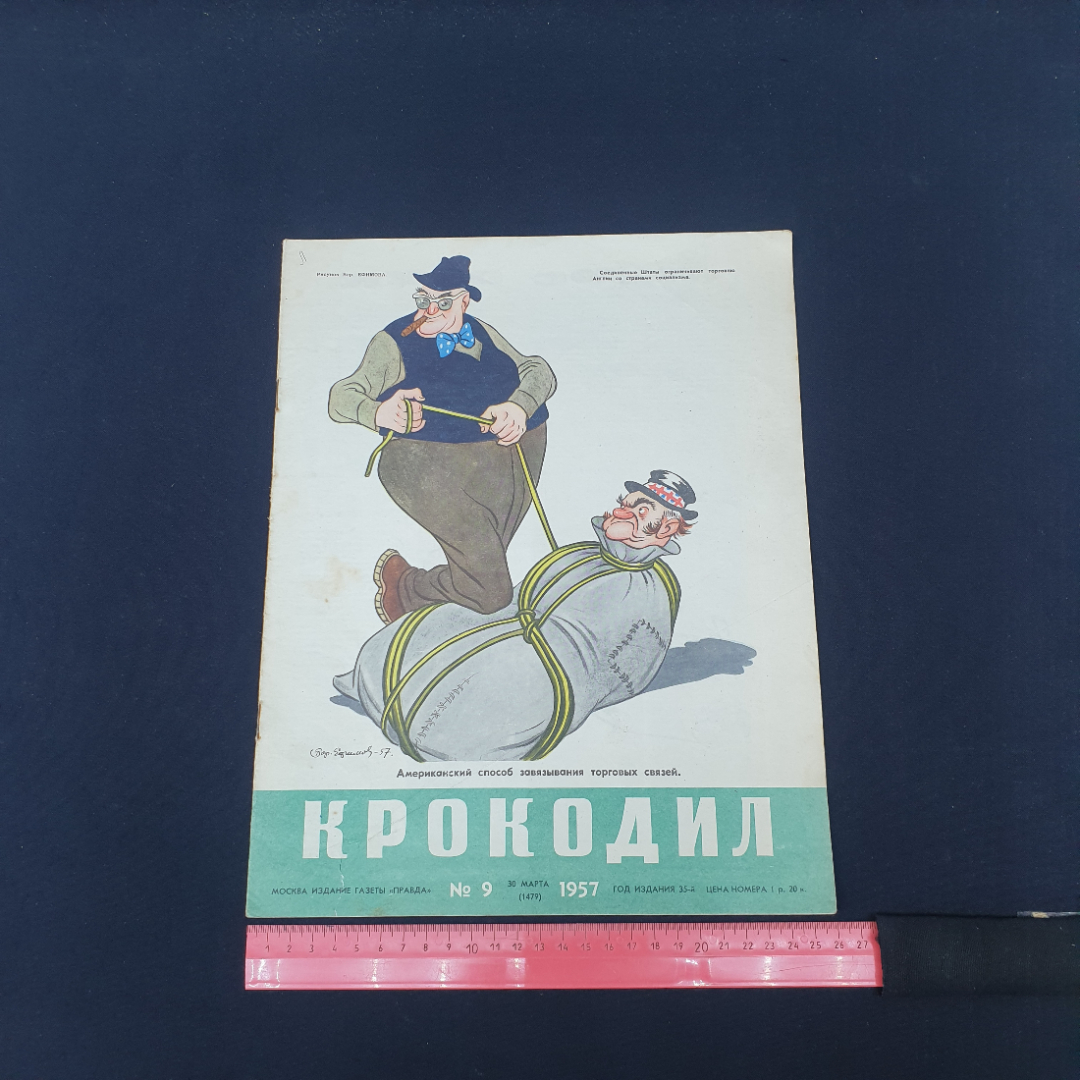 Картинка 6