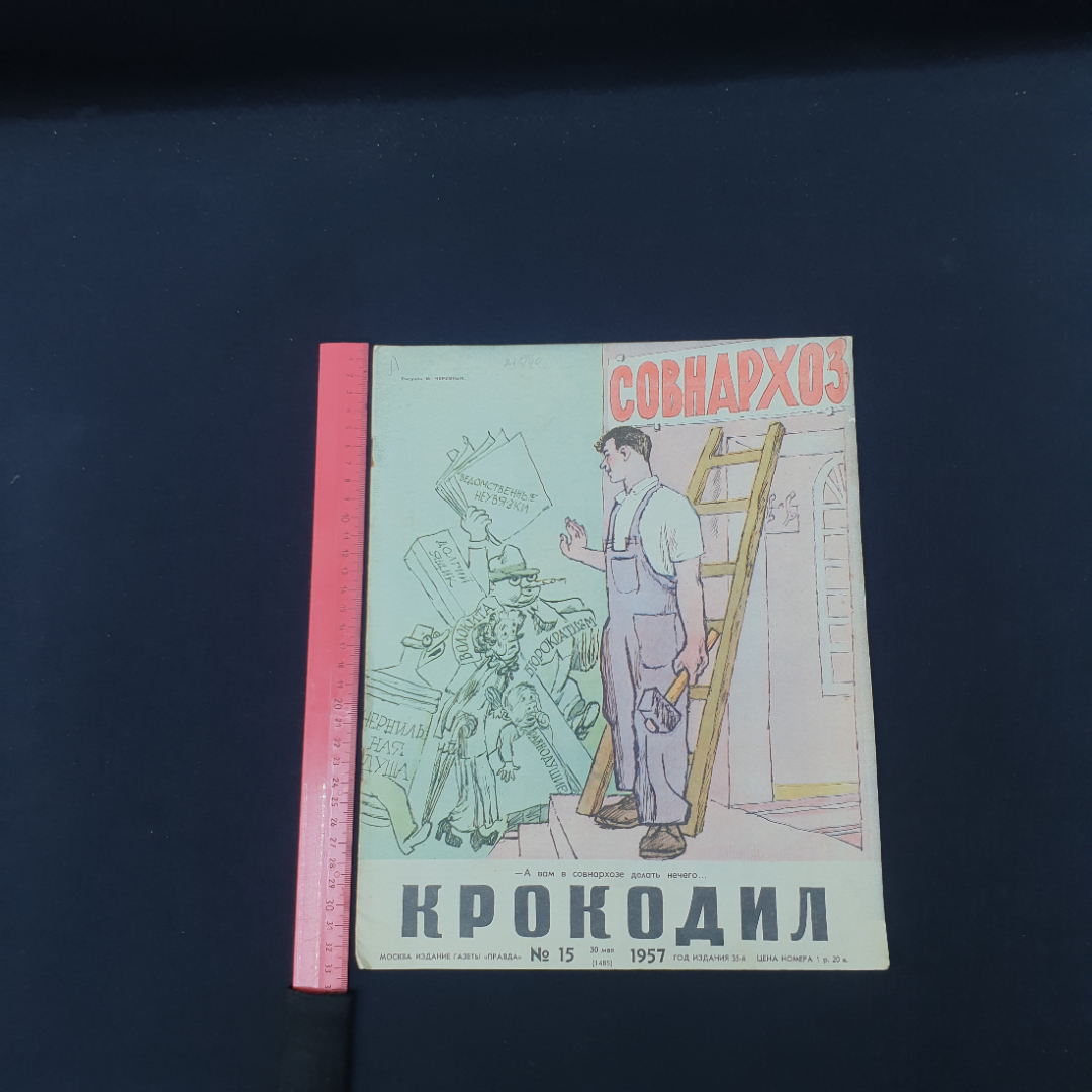 Картинка 7