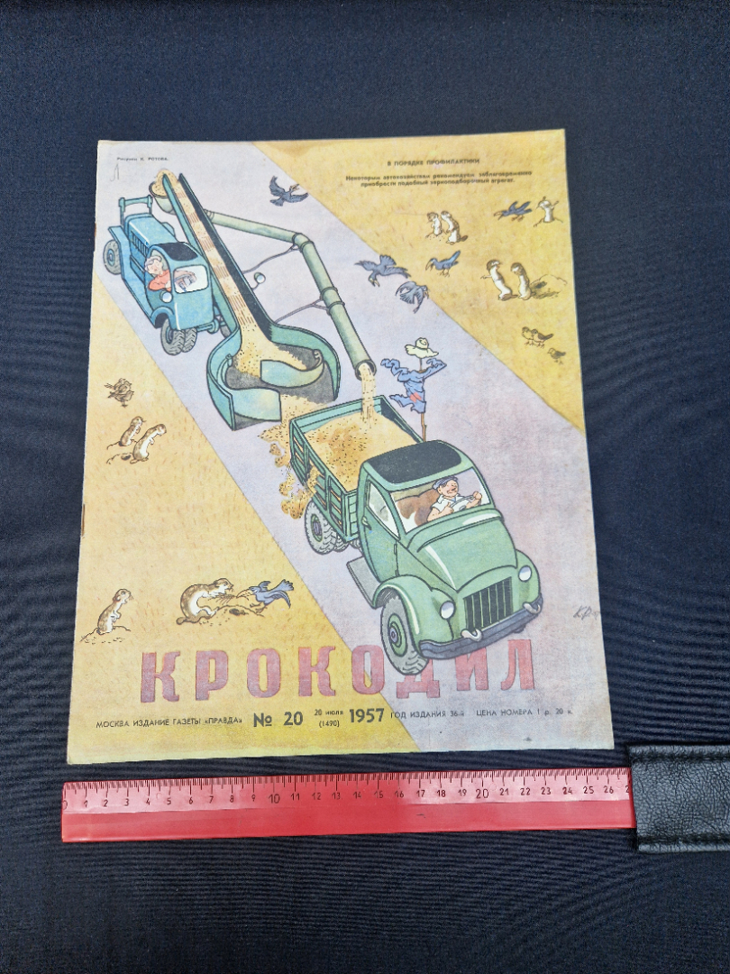 Картинка 7