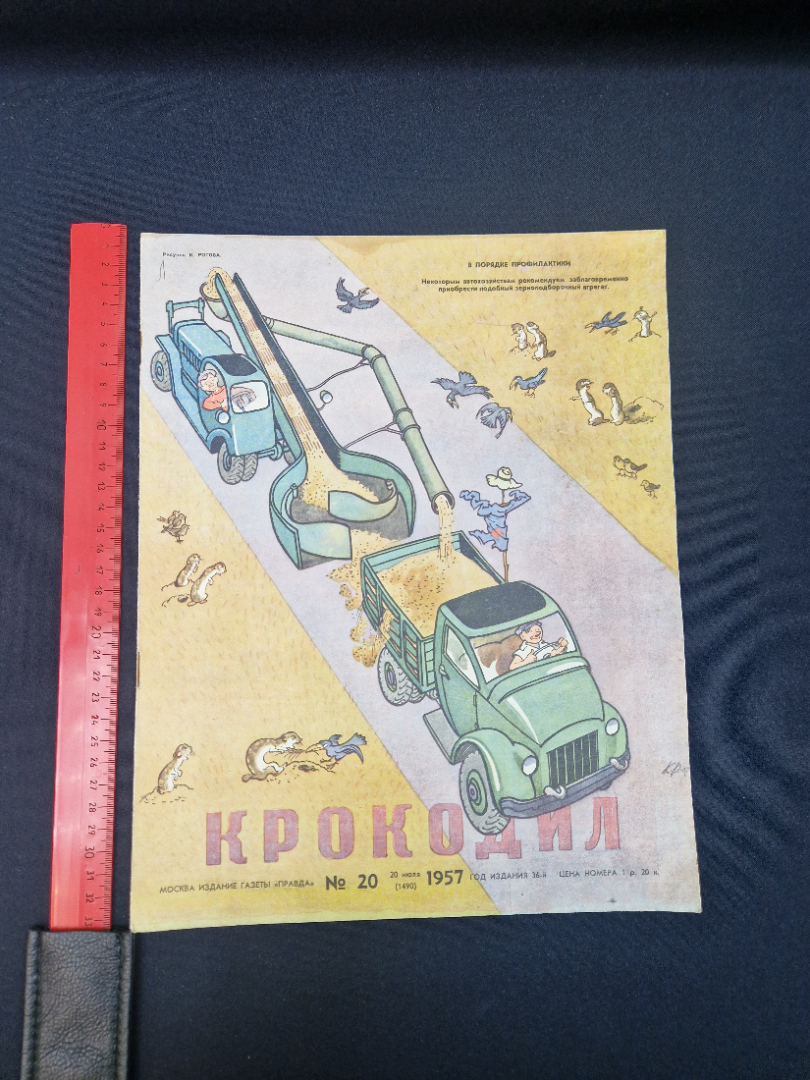 Картинка 8