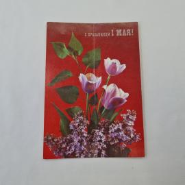 Картинка 1