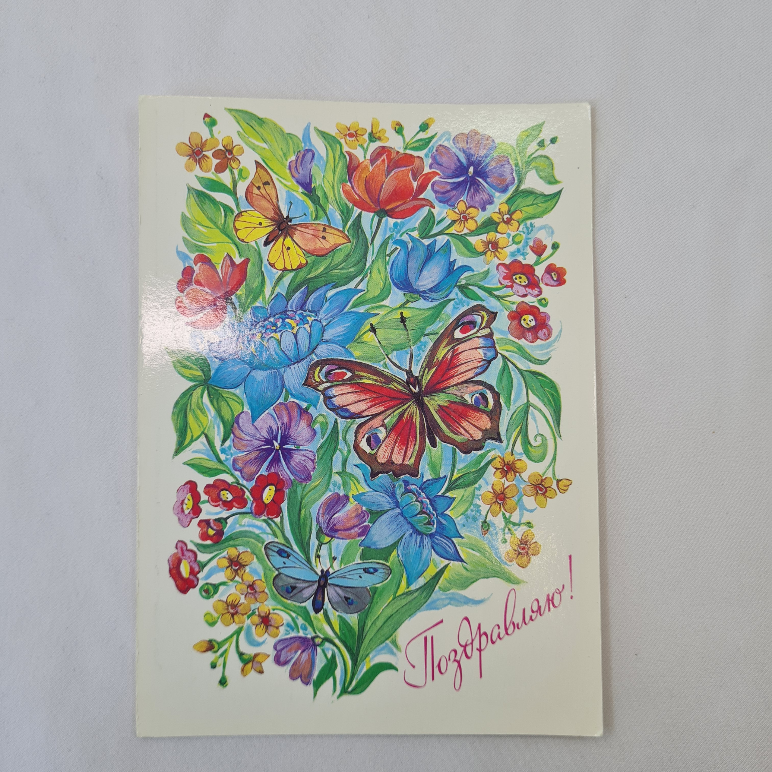 Картинка 1
