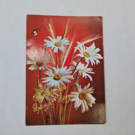 Открытка советская СССР, старинная. Ромашки, поздравляю, цветы на красном фоне, винтаж
