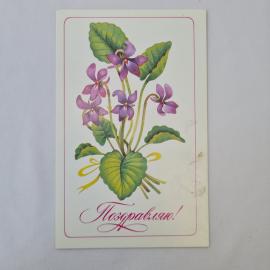 Открытка советская СССР, старинная. Поздравляю, фиалки, цветы. Винтажная почтовая миниатюра