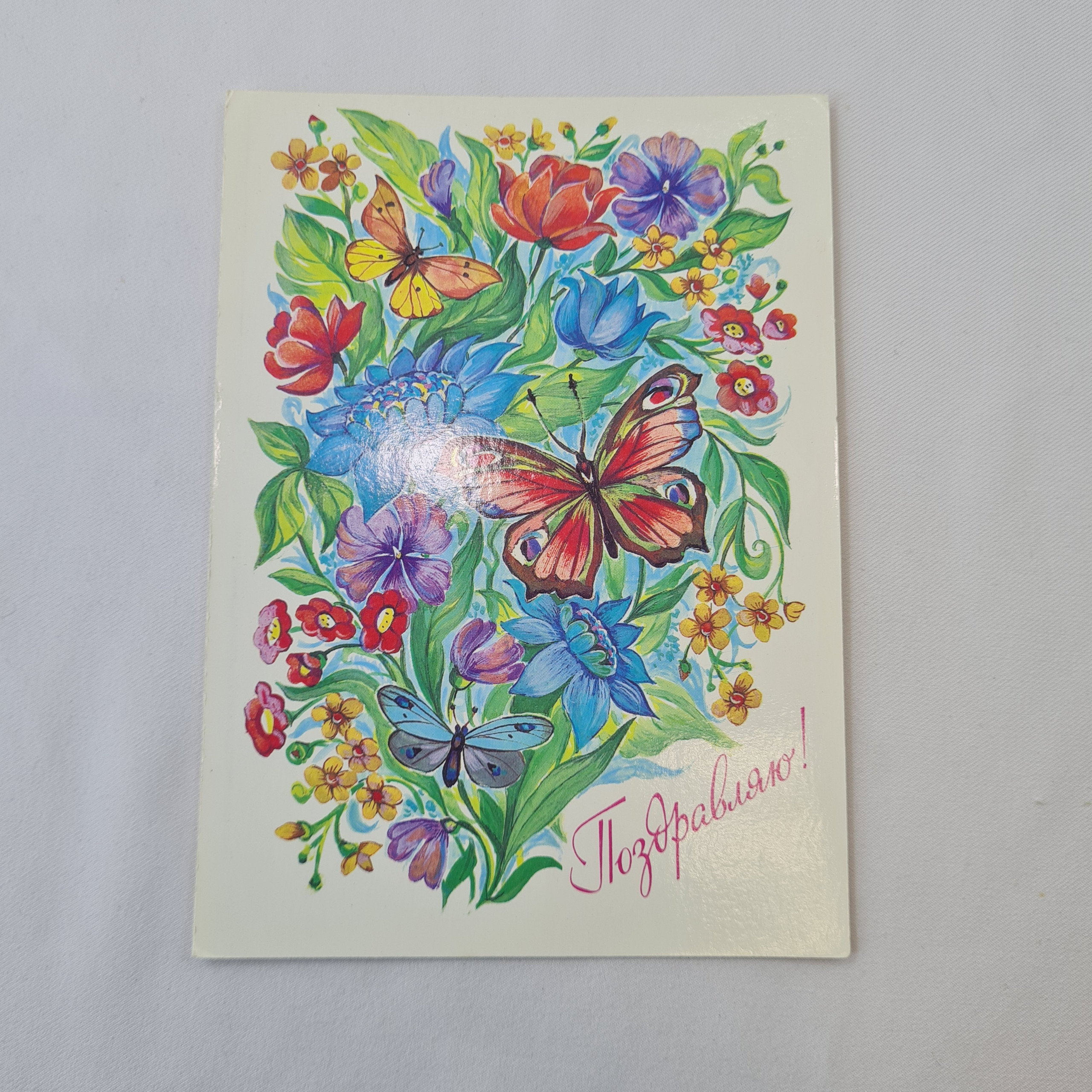 Картинка 1