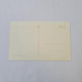 Картинка 2