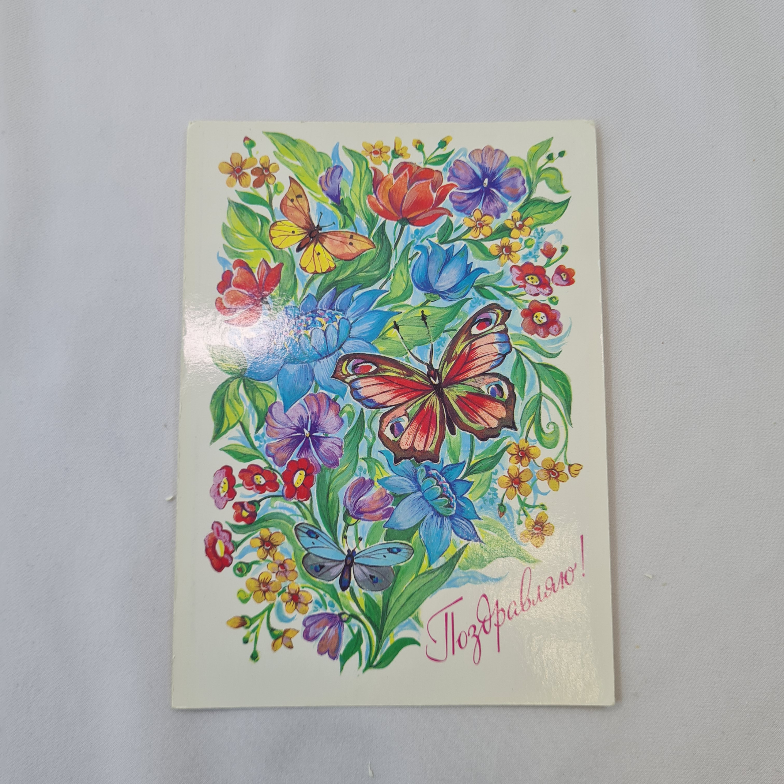 Картинка 1