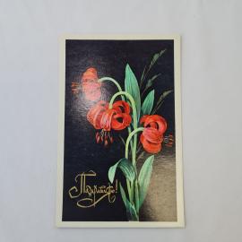 Открытка советская СССР, старинная. Поздравляю, цветы лилии на темном фоне. Винтаж, 1974 год