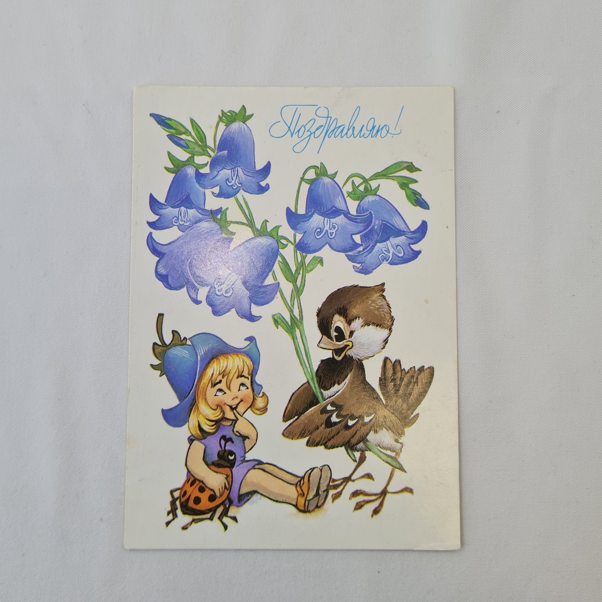 Картинка 1