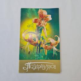 Картинка 1