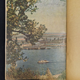 Картинка 10