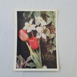 Открытка советская СССР, старинная. Цветы, тюльпаны и белые анемоны. Винтажная флористика
