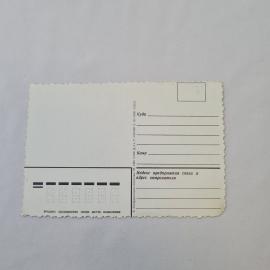Картинка 2