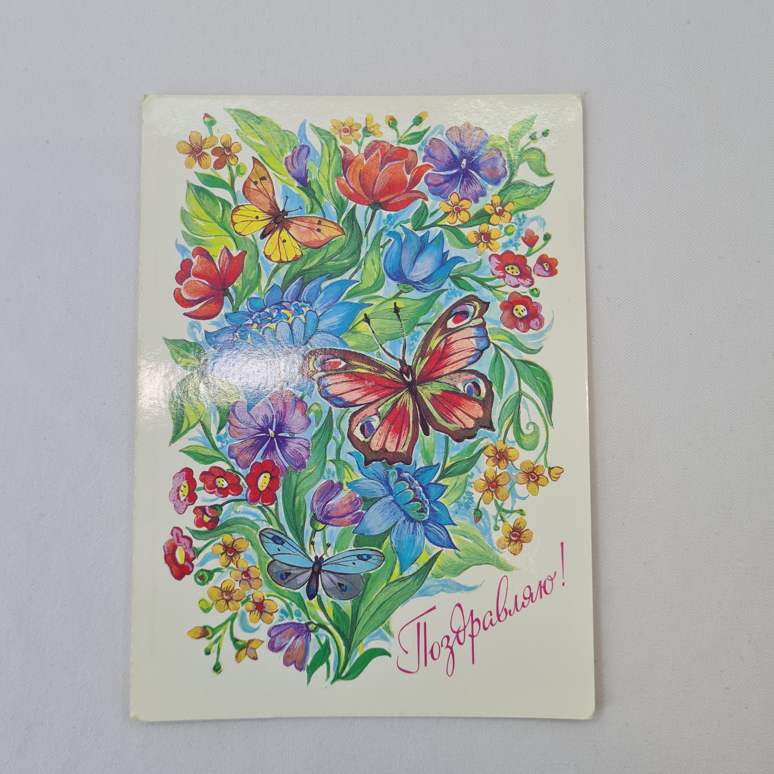 Картинка 1