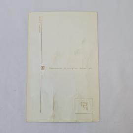 Картинка 2