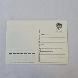 Картинка 2