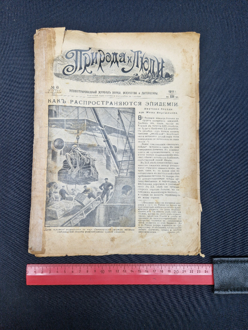 Картинка 9