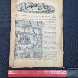Картинка 9