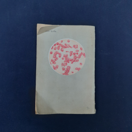 Картинка 3
