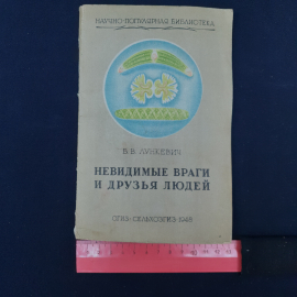 Картинка 8